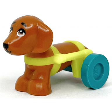 dog friends dachshund with neon yellow wheelchair harness with dark turquoise wheels pickle