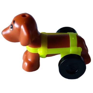 dog friends dachshund with neon yellow wheelchair harness with black wheels pickle