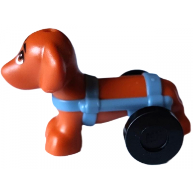 dog friends dachshund with sand blue wheelchair harness with black wheels pickle
