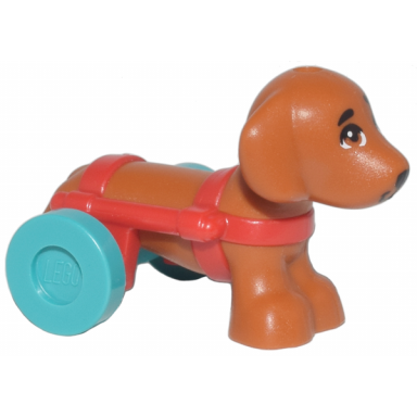 dog friends dachshund with red wheelchair harness with dark turquoise wheels pickle