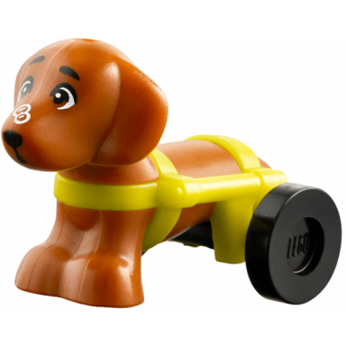 dog friends dachshund with white bubbles on nose and neon yellow wheelchair harness with black wheels pickle