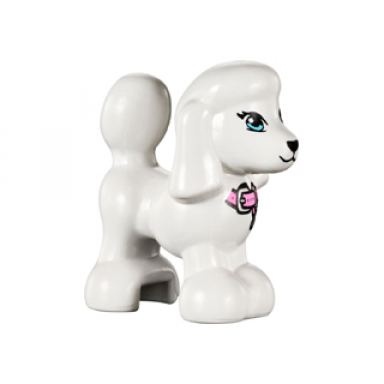 white dog friends poodle with bright light blue eyes black nose and mouth and bright pink collar with silver buckle and tag pattern lady tina
