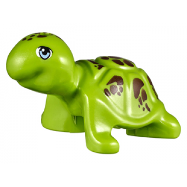 turtle friends elves with bright light blue eyes and reddish brown spots pattern bubbles