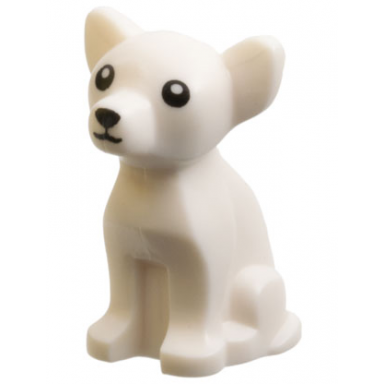 dog chihuahua with black eyes nose and mouth white pupils pattern