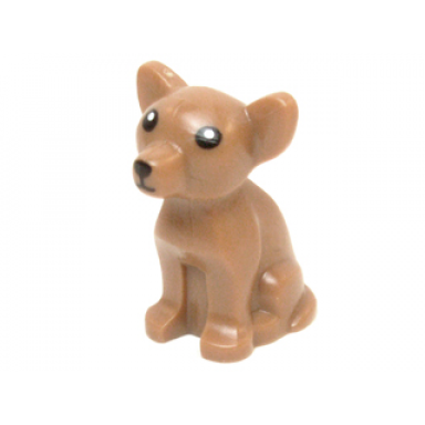 medium nougat dog chihuahua with black eyes nose and mouth white pupils pattern