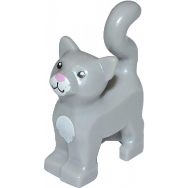 light bluish gray cat standing with black eyes white chest and muzzle and bright pink nose pattern