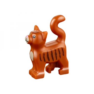 dark orange cat standing with black eyes dark tan chest and muzzle dark brown stripes and bright pink nose pattern