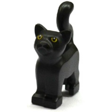 black cat standing with yellow eyes and dark bluish gray nose and mouth pattern
