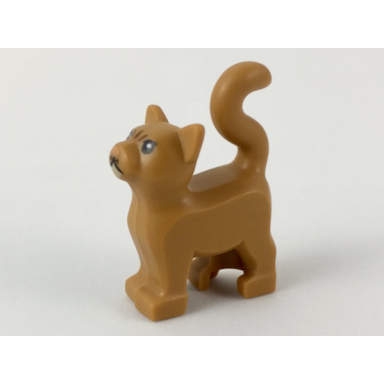 medium nougat cat standing with black eyes tan chin reddish brown stripes on forehead and nougat nose pattern hp crookshanks