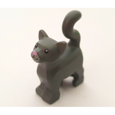 dark bluish gray cat standing with black eyes light bluish gray muzzle and bright pink nose pattern