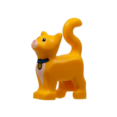 bright light orange cat standing with black eyes white muzzle and chest bright pink nose blue collar with gold tag pattern sox