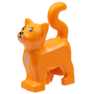 orange cat standing with black eyes tan chin black nose angry face pattern hp crookshanks
