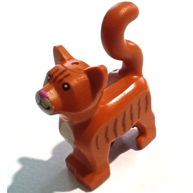 dark orange cat standing with black eyes tan chest and muzzle reddish brown stripes and dark pink nose pattern bam