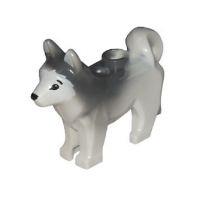 white dog husky with marbled dark bluish gray ears and back and printed black eyes and nose white face and ears pattern