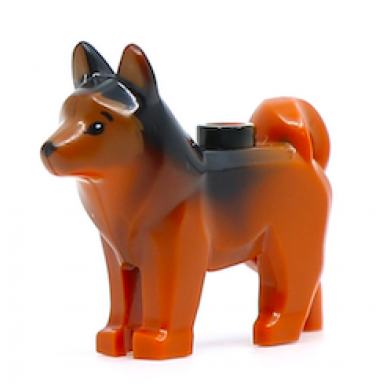 dark orange dog husky with marbled black ears and back and printed black eyes and nose dark orange face and ears pattern red copper