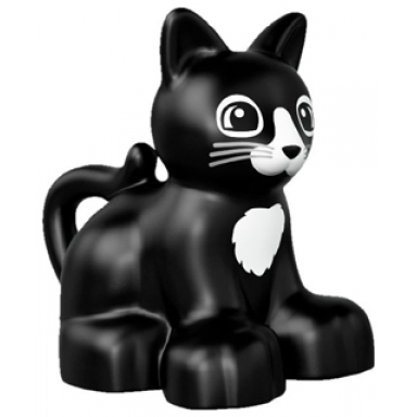 duplo cat kitten sitting with black eyes and nose light bluish gray whiskers white chest and muzzle pattern