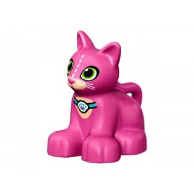 duplo cat kitten sitting with lime eyes and white whiskers and paw print collar pattern