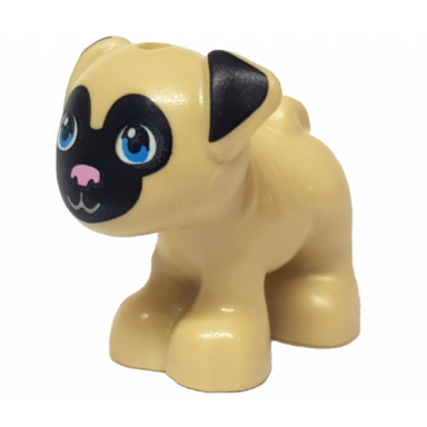 tan dog friends pug standing with black muzzle and ears bright pink nose and dark azure eyes pattern toffee