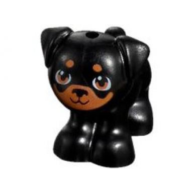 black dog friends pug standing with medium nougat muzzle eyes and spots pattern apollo