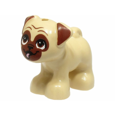 tan dog friends pug standing with reddish brown muzzle ears and eyes and bright pink tongue sticking out pattern