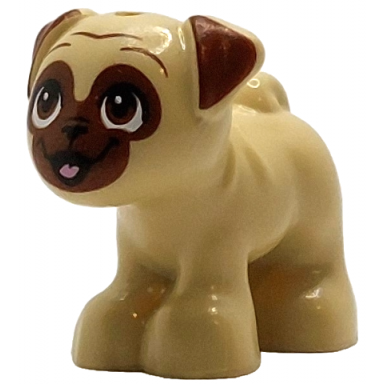 dog friends pug standing with reddish brown muzzle ears and eyes looking up and bright pink tongue pattern