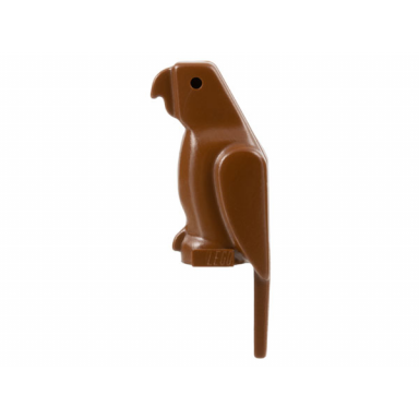 brown bird parrot with small beak