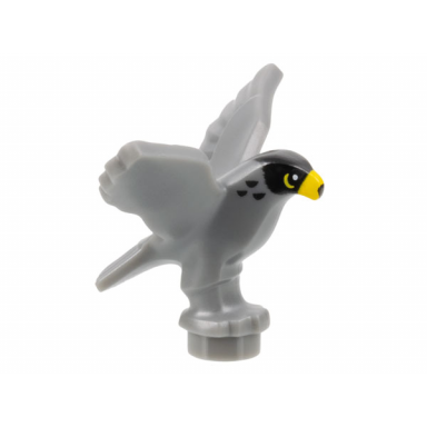 bird falcon with black head yellow eyes and beak pattern