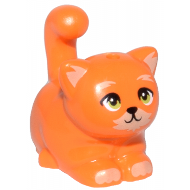 orange cat friends large sitting with tan markings and lime eyes pattern poundcake