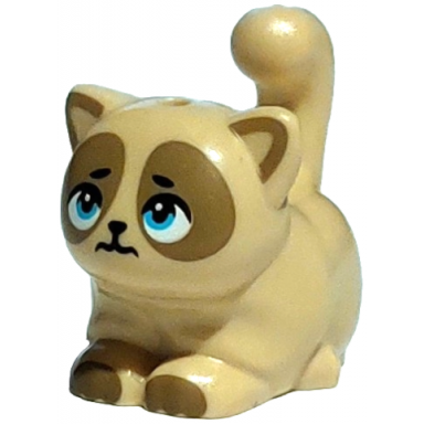 cat friends large sitting with medium azure eyes dark tan markings scared black mouth pattern pom