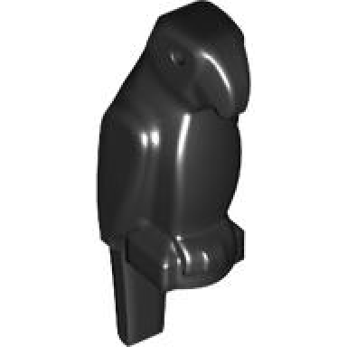 bird parrot with large beak
