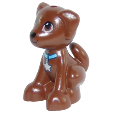 reddish brown dog friends puppy sitting with black nose and medium azure collar with silver star tag pattern dash scout