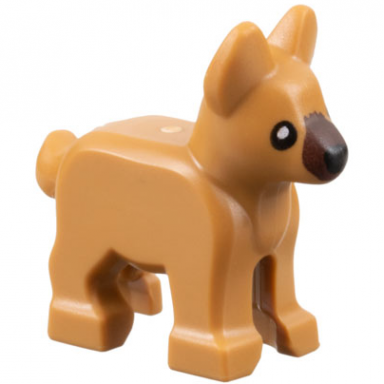medium nougat dog alsatian german shepherd puppy with dark brown muzzle black eyes and nose pattern