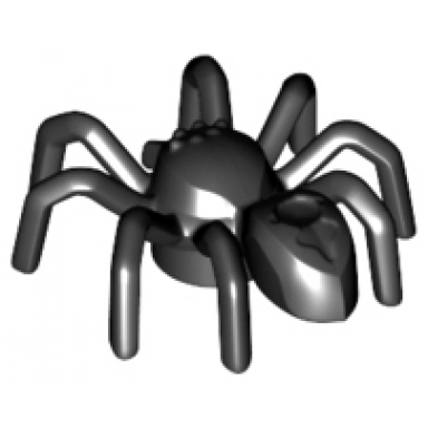 black spider with elongated abdomen