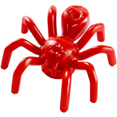 red spider with elongated abdomen