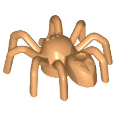 medium nougat spider with elongated abdomen