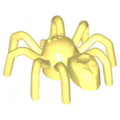bright light yellow spider with elongated abdomen