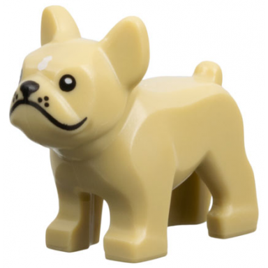 dog french bulldog with black eyes nose mouth and whiskers white spot on forehead pattern