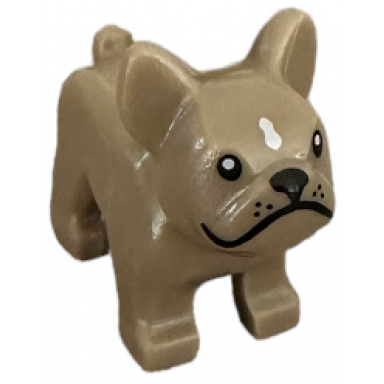 dark tan dog french bulldog with black eyes nose mouth and whiskers white spot on forehead pattern