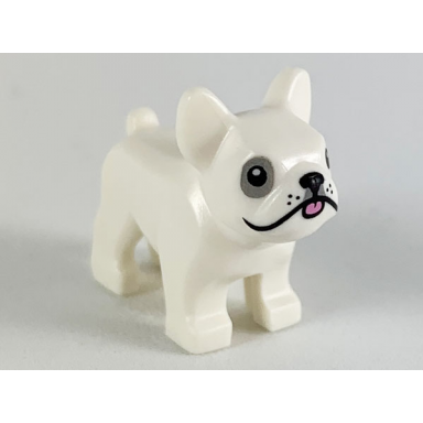 white dog french bulldog with black eyes nose mouth bright pink tongue and light bluish gray around right eye pattern