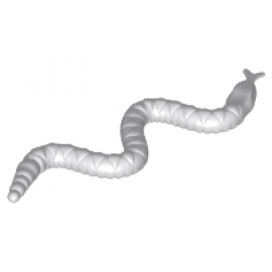 light bluish gray snake