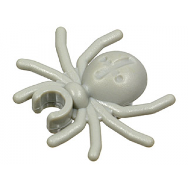 light gray spider with round abdomen and clip