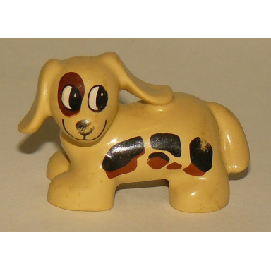 tan duplo dog dachshund with black and brown spots pattern