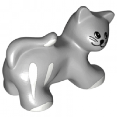 light bluish gray duplo cat with round eyes whiskers white stripes and paws pattern