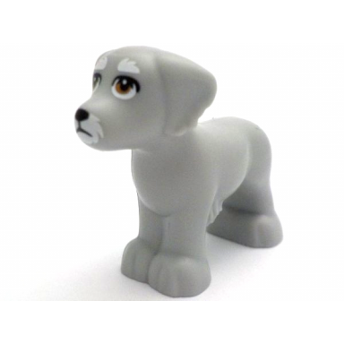 light bluish gray dog friends shaggy fur ears and tail with black nose and eyelids white muzzle and eyebrows and medium nougat eyes pattern