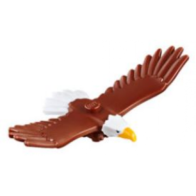 reddish brown eagle with yellow beak white head and tail feathers pattern