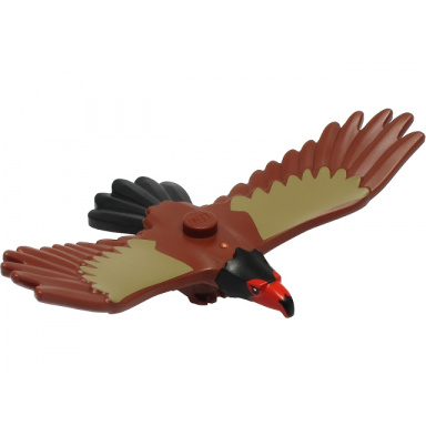 reddish brown eagle with red and black head black tail feathers and dark tan wings pattern