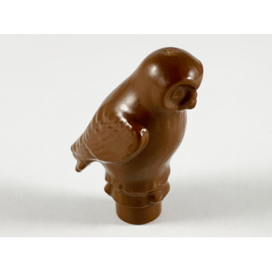 brown owl rounded features
