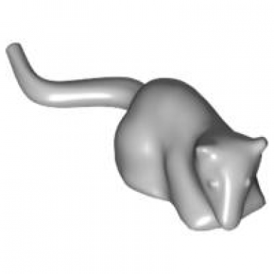 light bluish gray rat mouse
