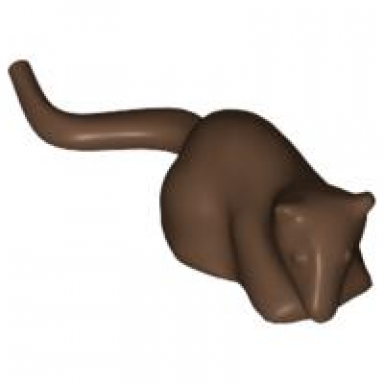 rat mouse