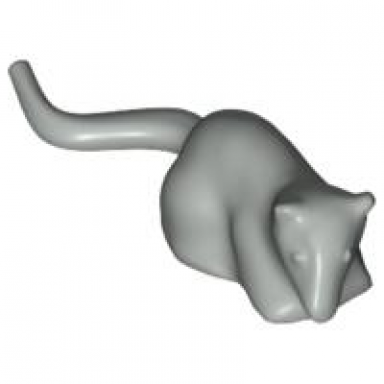 light gray rat mouse